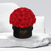 Sonic Eternal Roses-Last 3 Years